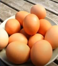 FSSAI Assures Eggs in India Are Safe Amid Carcinogen Concerns; Earlier Claims Misleading & Unscientific