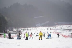 Five-Year-Old Boy Dies After Arm Caught in Travelator at Japan Ski Resort