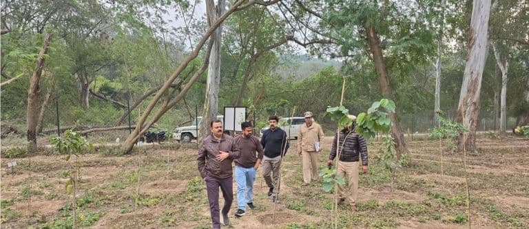 Leopards, Jackals Spotted in Chandigarh’s Sukhna Wildlife Sanctuary, Confirms Chief Wildlife Warden