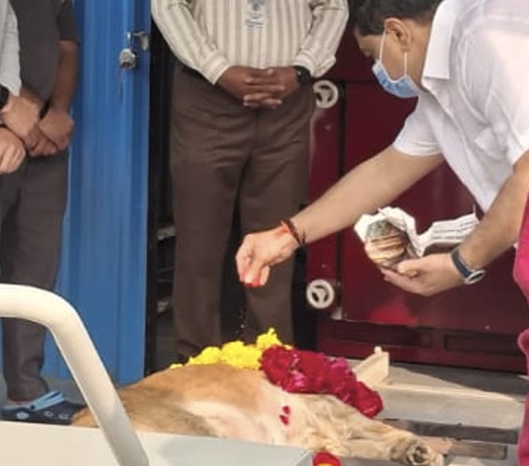 Ahmedabad Launches Gujarat’s First CNG-Powered Dog Crematorium for Pets