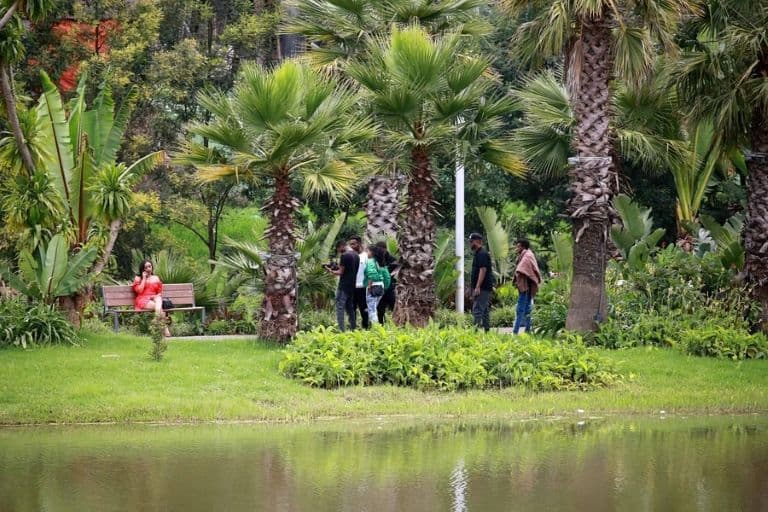 Nearly 7 Lakh Foreign Tourists Visit Addis Ababa in First Half of Ethiopian Fiscal Year