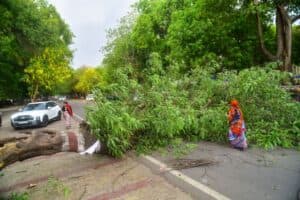UP Storm Tragedy: 89 Dead, 53 Injured After Thunderstorm, Rain, Lightning Lash Several Districts