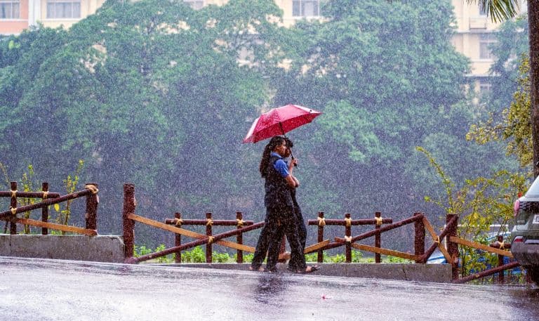 IMD Forecasts Heavy Rain and Thunderstorms Across Kerala Till June 2