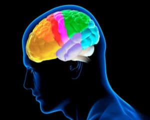 Anxiety and stress may lead to dementia