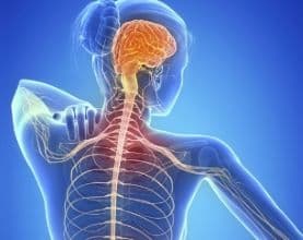 Researchers Find Covid Infection Does Not Worsen Multiple Sclerosis Symptoms