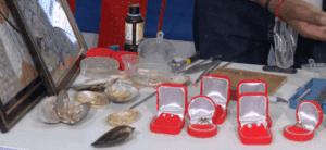 Pearl Farming Takes Spotlight at Advanced Agriculture Festival in MP’s Raisen District