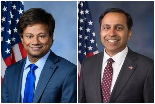 Indian-American Lawmakers