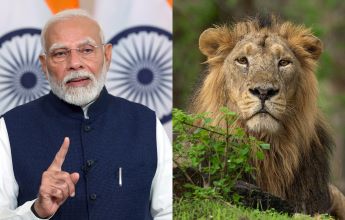 Pm Modi, Lion