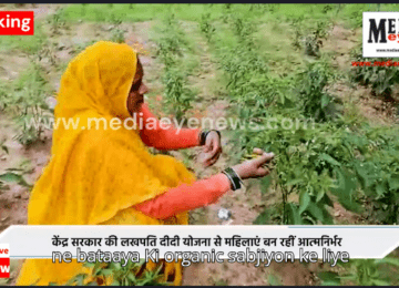 Jhansi's Rachna Became ‘Lakhpati Didi’ Through Organic Farming