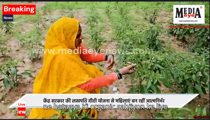 Jhansi's Rachna Became ‘Lakhpati Didi’ Through Organic Farming