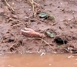 Human hand burried in a mud during landslide