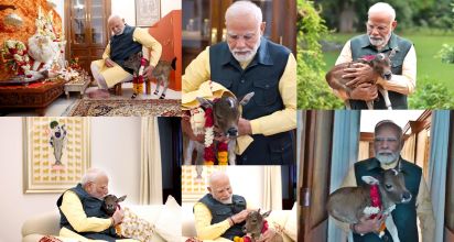 Prime Minister Modi,Calf, Delhi,