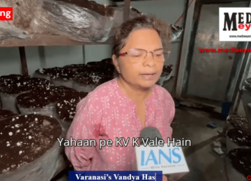 Varanasi’s Vandya Has Been Cultivating Mushrooms For 25 years, Business Worth Crores Annually