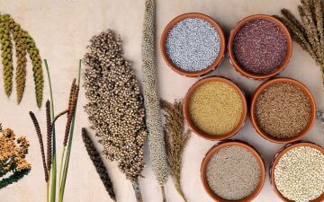 Millets, Indian Food COnsumption Practice, Climate-Friendly