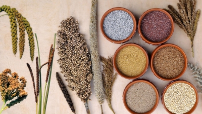 Millets, Indian Food COnsumption Practice, Climate-Friendly