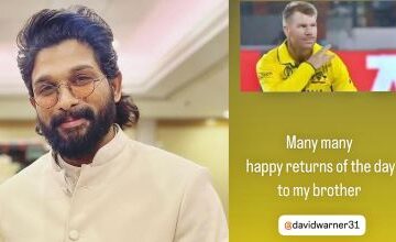 Allu Arjun actor, David Warner, Australian Cricketer