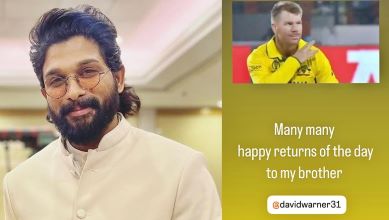 Allu Arjun actor, David Warner, Australian Cricketer