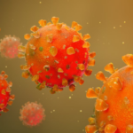 Covid-19 virus, Body Immune System