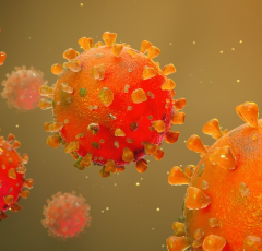 Covid-19 virus, Body Immune System