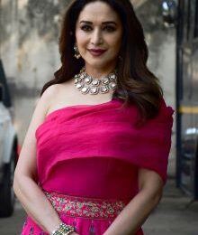 Madhuri Dixit, Bollywood, Actress