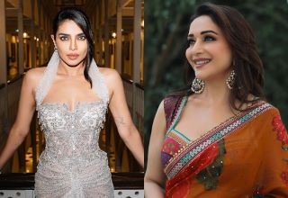 Madhuri Dixit, Priyanka Chopra, Cinema, Actress, Paani