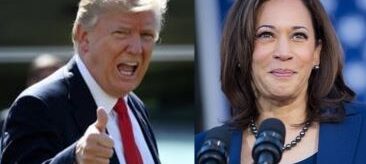 Trump, Harris, Polls